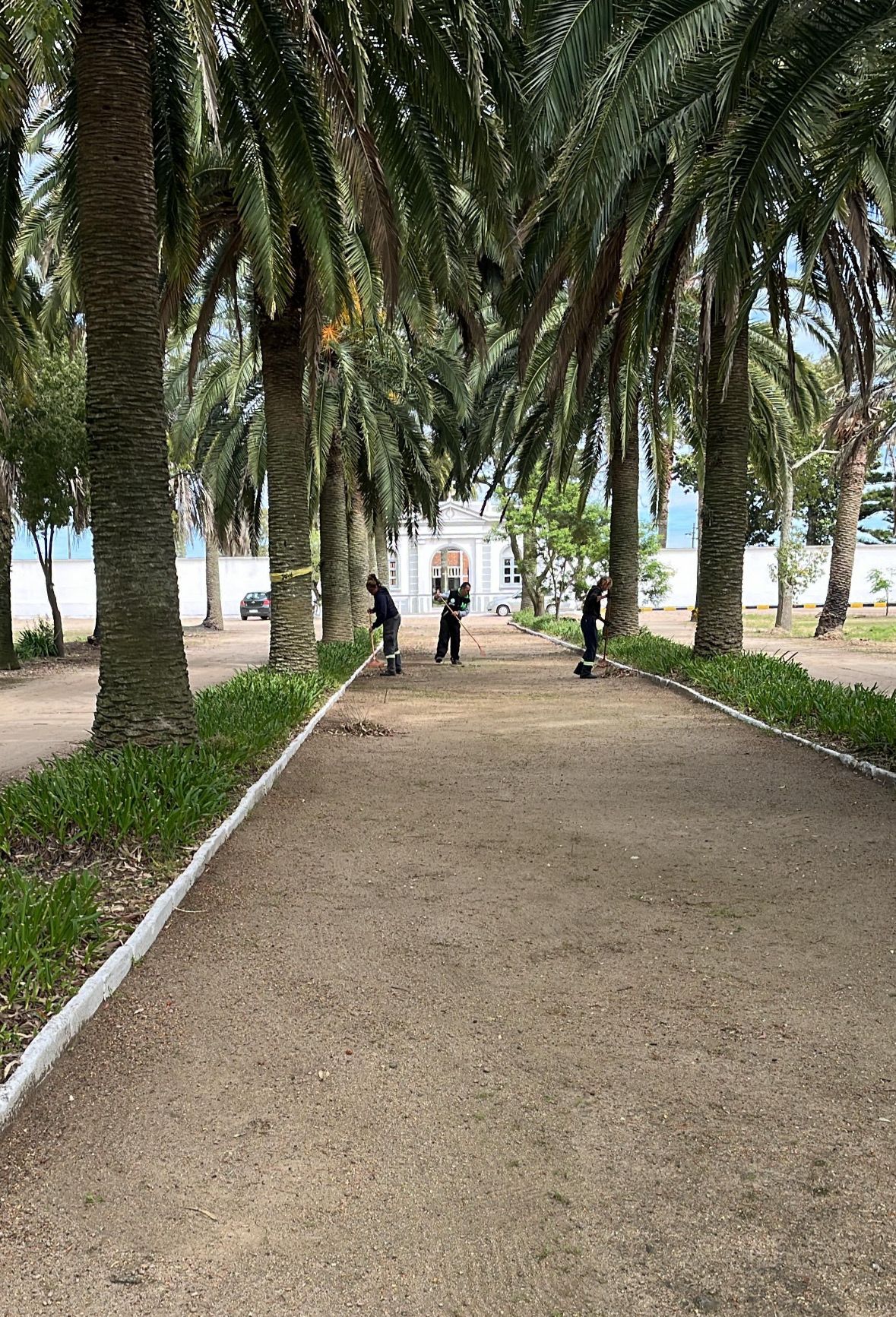 Comenzó reacondicionamiento integral del cementerio de Sarandí Grande